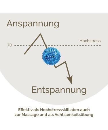 2x DBT Skills Hedgehog Ball - Magnetic Acupressure Stress Relief & Massage | Improve Mobility & Concentration | Blue/Black 47mm - Buy Online on GoSupps.com