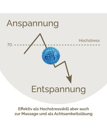 Buy 2x DBT Skills Hedgehog Ball - Magnetic Acupressure Stress Relief & Massage | Boost Mobility & Concentration - Deep Blue 47mm - Buy Online on GoSupps.com