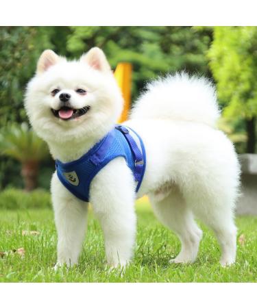 Buy Reflective Soft Padded Dog Harness & Cat Dishes for Small Dogs - Air-Mesh Breast Harness (M: 35-39cm) - Blue | International Shipping Available - Buy Online on GoSupps.com