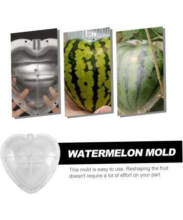 Gadpiparty Vegetables Fruit Growing Heart Mould Watermelon Grow Mold Cooking Utensils Modeling Ginseng Fruit 17x17cm Transparent - Buy Online on GoSupps.com