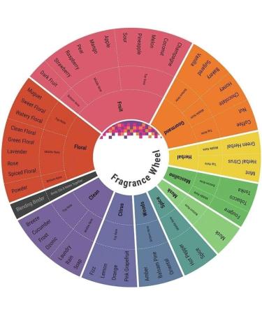 CHANEL COCO MADEMOISELLE EAU DE TOILETTE SPRAY 100 ml - Buy Online on GoSupps.com