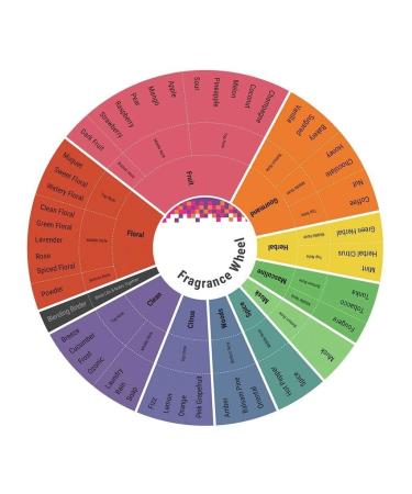 Incidence by Yves De Sistelle Eau De Parfum Spray 3.3 oz for Women - Buy Online on GoSupps.com