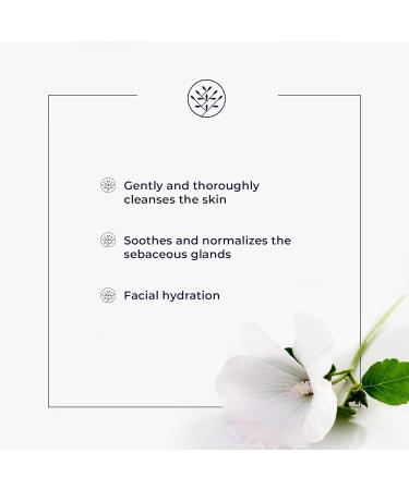 Cleansing Milk - Gentle Makeup Remover & Face Cleanser | Shop Internationally - Buy Online on GoSupps.com