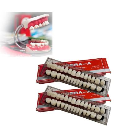 Rehoof 2 sets acrylic resin art teeth dentures false upper and lower synthetic resin teeth for replacement homework or Halloween 56 pieces