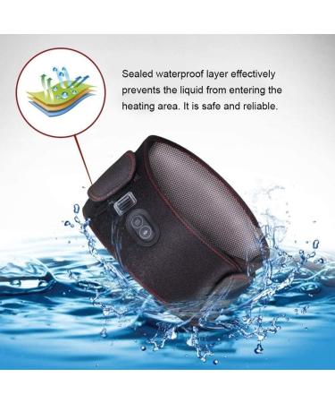Buy Electrically Heated Waist Belt - Relieve Back Pain Sore Muscles & Improve Posture - Waist Massage Device (Black) - Buy Online on GoSupps.com