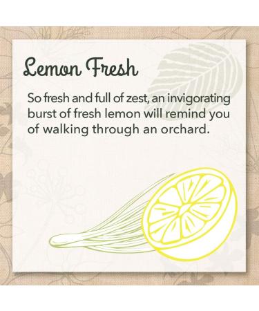 Eco-me Natural Multi-Purpose Cleaner & Polish - Healthy Lemon Fresh Scent for Wood - 16 Fl. Oz | Eco-Friendly & International Shipping - Buy Online on GoSupps.com