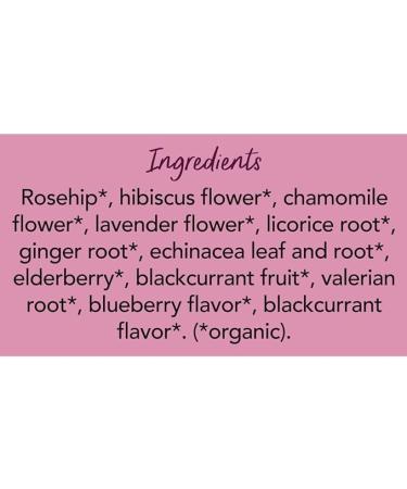 Pukka Organic Night Time Berry Herbal Tea with Chamomile  Echinacea  and Elderberry - 80 Tea Bags (20 Count x 4 Packs) for Overnight Wellness - Buy Online on GoSupps.com