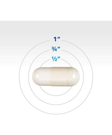 Phillips' Colon Health Probiotic Supplement 45 Count 1 Count (Pack of 45) - Buy Online on GoSupps.com