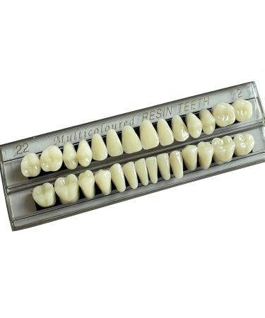 56 Pieces False Teeth Kit - Acrylic Resin Denture Replacement Horror Teeth Prop DIY - International Shipping Available - Buy Online on GoSupps.com
