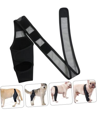 CORHAD Dog Leg Braces for Hindleg Comfortable Dog Knee Dog Back Leg Protector Puppy Pet Mesh Fabric Care M As Shown - Buy Online on GoSupps.com