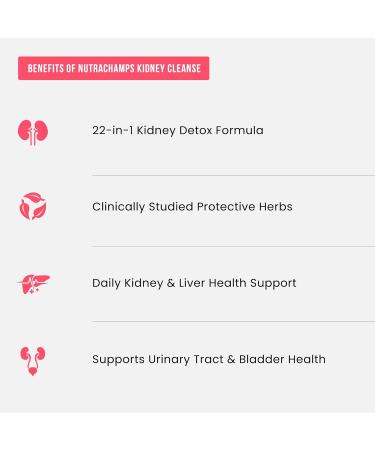 Kidney Cleanse Detox | 22-in-1 Kidney Support Supplement | 25,000mg Cranberry Pills Extract | Extra Strength Repair & Flush Premium Formula | Urinary Tract Health for Women & Men | 60 Vegan Capsules - Buy Online on GoSupps.com