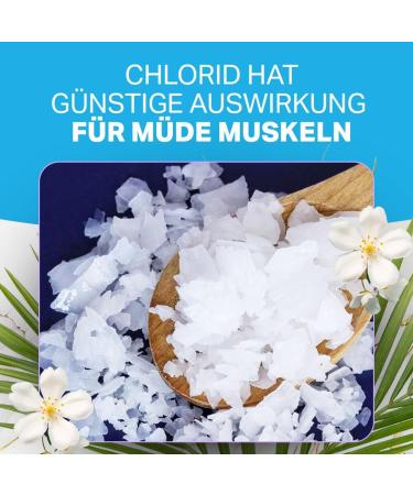 Solup Magnesium Chloride 900g - 100% Natural Magnesium Flakes for Bathing - Ideal for Magnesium Deficiency - International Shipping - Buy Online on GoSupps.com
