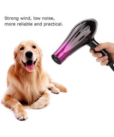 Electric Hair Dryer 220V Hairdryer for Dog Pet - Buy Online on GoSupps.com