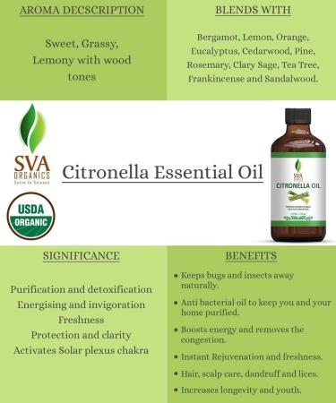 SVA Organics Citronella Essential Oil USDA Organic 4 Oz - Pure & Natural Therapeutic Grade Oil for Skin, Body, Diffuser & Candle Making - Buy Online on GoSupps.com
