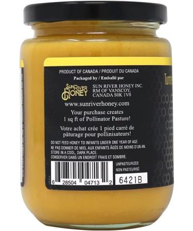Sun River Honey Flavoured Infusions (Turmeric Ginger 500 g) Turmeric Ginger 500 g (Pack of 1) - Buy Online on GoSupps.com