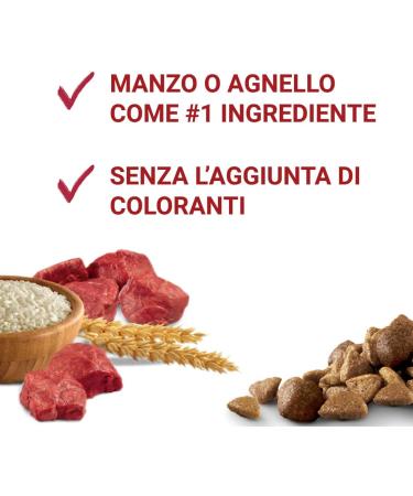 Purina One Medium/Maxi 10 kg Dog Food 4 Bags of 2.5 kg each - Buy Online on GoSupps.com