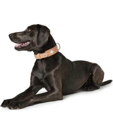 HUNTER SWISS High-Quality Leather Dog Collar - Natural Beige Swiss Cross Size 42 (SM) - International Shipping Available - Buy Online on GoSupps.com