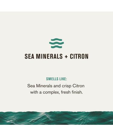 Every Man Jack Sea Minerals + Citron Men's Antiperspirant Deodorant - Long Lasting, Plant-Based Formula - 2.6 oz, 2 Pack - Buy Online on GoSupps.com