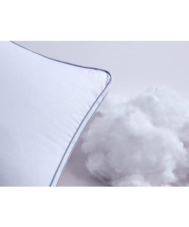 Buy Amolavet 40x80 Hotel Pillows - Down Alternative Soft Support Cushions - Allergy-Friendly Sleep Pillows - Set of 2 for All Sleeping Positions - Buy Online on GoSupps.com