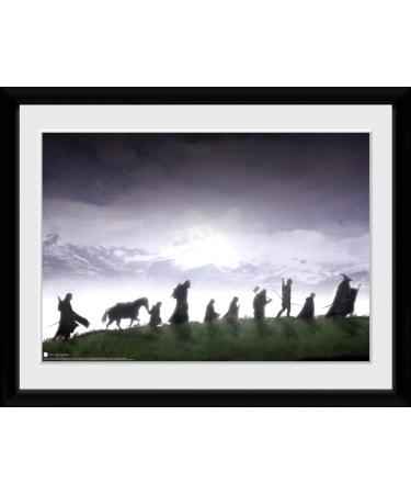 GB eye The Lord of The Rings Fellowship 30 x 40cm Framed Collector Print