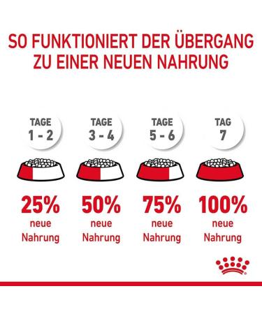 Royal Canin Digestive Care Adult Dry Cat Food 400g (Pack of 4) Variety 400 g (Pack of 4) - Buy Online on GoSupps.com