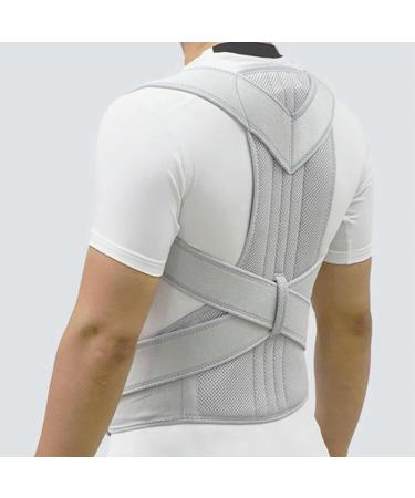 Back Support Belt Men Women Adjustable Posture Corrector Lumbar Back Support Brace Silver XL - Buy Online on GoSupps.com