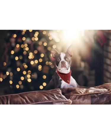 Shop Lionet Paws Christmas Bandana for Dogs - Triangular Headscarf in Black & Red Perfect for Small to Large Breeds - International Shipping Available! - Buy Online on GoSupps.com