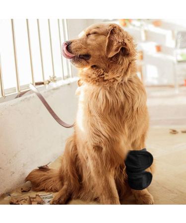 2Pcs Adjustable Dog Cat Leg Brace Elastic Warm Knee Pads for Surgery Wound Support and Stability for Injury Recovery Prevent Licking (Black) - Buy Online on GoSupps.com