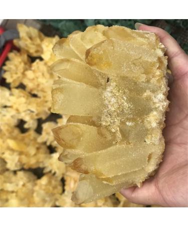 Natural Crystal Rough Home Decoration Natural Yellow Ghost Phantom Quartz Crystal Cluster Specimen Home Decoration Office Living Room Crystal Decora Stones (Size : 300-400g) - Buy Online on GoSupps.com