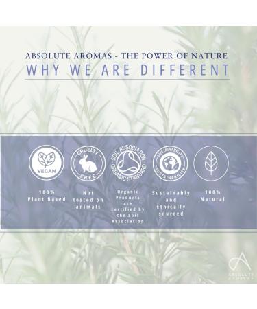 Absolute Aromas Organic Castor Oil 250ml - 100% Pure and Natural Carrier Oil - For Massage Aromatherapy and Blending Essentials Oils - Buy Online on GoSupps.com