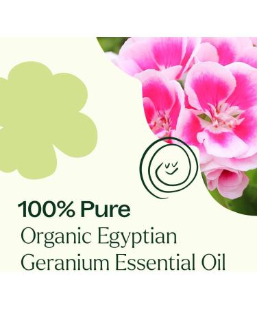 Plant Therapy Organic Egyptian Geranium Essential Oil 100% Pure USDA Certified Organic Undiluted Natural Aromatherapy Therapeutic Grade 5 mL (1/6 oz) Geranium 0.16 Fl Oz (Pack of 1) - Buy Online on GoSupps.com