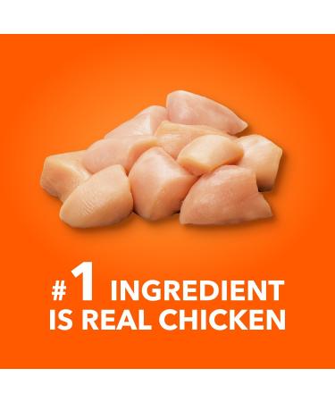 Kitten Start Pack - Includes IAMS Proactive Health Healthy Kitten Dry Cat Food Chicken IAMS Perfect Portions Healthy Kitten Wet Cat Food Chicken & Temptations Kitten Chicken & Dairy Treats 2.67kg Pk - Buy Online on GoSupps.com