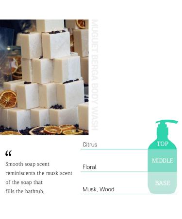 ARTois Body Wash - Hypoallergenic pH Balanced Perfumed for All Skin Types | 16.9 Fl. oz. Muguet Berga - International Shipping Available - Buy Online on GoSupps.com