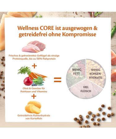 Wellness Core Adult Original Cat Food - Grain-Free High Meat Turkey & Chicken 300g Pack - Buy Online on GoSupps.com