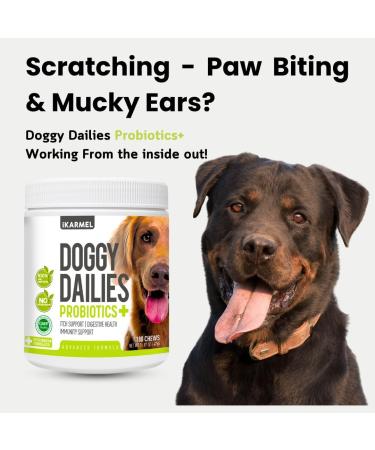 Doggy Dailies Probiotics for Dogs - Canine Supplements for Digestive and Immunity Support - Skin Health and Itch Support - Vitamin Treats - Veterinarian Formulated Probiotic 180 Count (Pack of 1) - Buy Online on GoSupps.com
