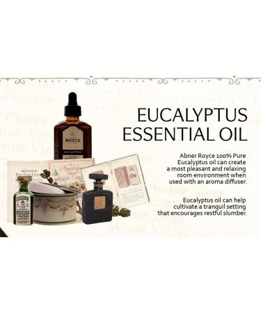 Abner Royce Essential Oil Since 1879 Heritage Collection Undiluted & Steam-Distilled for Home & Personal Use 60ml (Eucalyptus) - Buy Online on GoSupps.com