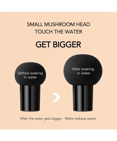 Mushroom Head CC Creme Fond de Teint Couvrant Imperfections Air Cushion BB Cream Hydratant Eclaircissant Fond de Teint Couvrant Imperfections Durable Maquillage Nude (Natural) - Buy Online on GoSupps.com