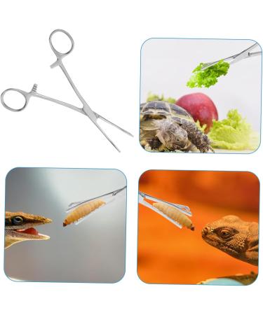 Mipcase Reptile Feeding Clip Leopard Gecko Supplies Reptile Catching Stainless Steel Silver - Buy Online on GoSupps.com