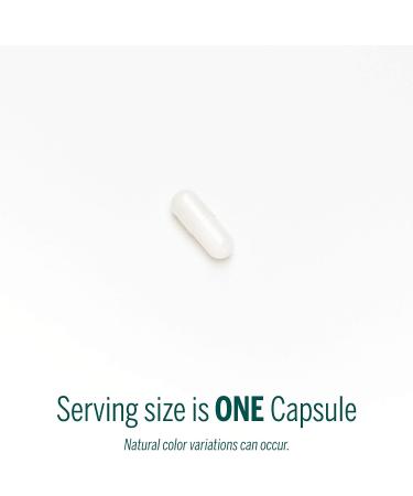 Genestra Pantothenic Acid (Vitamin B5) 60 Capsules - Supports Metabolism, Energy, and Skin Hydration - Buy Online on GoSupps.com