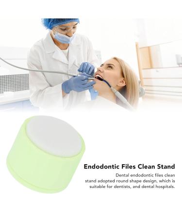 Endo Files Clean Stand | Heat Resistant Endodontic File Holder | Green Sponge Cleaning Solution for Dental Professionals - Buy Online on GoSupps.com