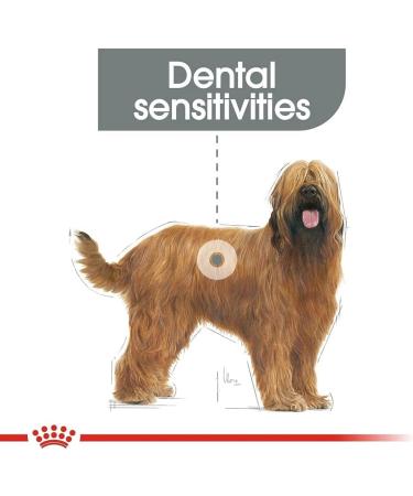 ROYAL CANIN Maxi Dental Care - 9 kg - Buy Online on GoSupps.com
