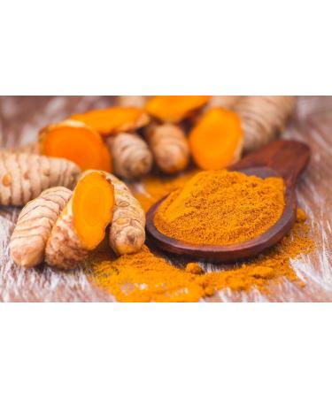 Havilah Turmeric Powder 1 kg Natural Golden Turmeric Powder with High Curcumin Content - Non-GMO Gluten-Free Anti-Inflammatory Superfood for Cooking Smoothies and Supplements - Buy Online on GoSupps.com
