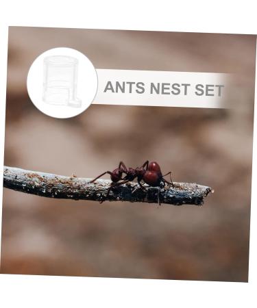 POPETPOP 2pcs Pet Water Feeder Pet Stuff Pet Water Bowl Ant Villa Ants Drinking Tool Small Water Cup - Buy Online on GoSupps.com