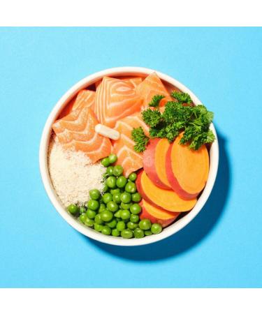 Pooch & Mutt Health & Digestion Complete Dry Dog Food Salmon and Sweet Potato Grain Free - 70.54 Oz - Buy Online on GoSupps.com