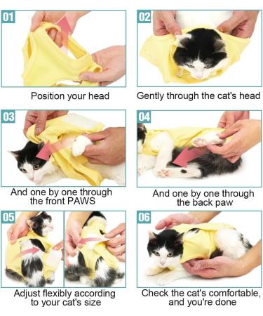 Ksuktsw Katzenbody: Post-Op Recovery Suit for Cats | Comfortable Cat Clothing for Castrated Cats - Shop Now! - Buy Online on GoSupps.com