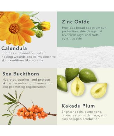 Buy Baie Botanique Soleil SPF 50 - Organic Non-Toxic Sunscreen for Face & Body | Vegan Reef Safe Natural Ingredients - Sea Buckthorn & Calendula - Buy Online on GoSupps.com