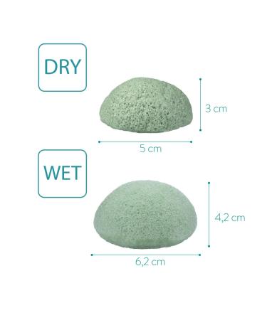 Navaris Konjac Sponges Set of 3 - Exfoliating & Cleansing Sponge Puffs for Face & Body - Bath & Shower Puff Pack in Green, Black, White - Buy Online on GoSupps.com