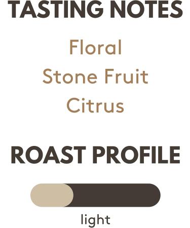 Hatch Starlight - Whole Bean - Premium Light Roast Coffee Notes: Floral Stone Fruit Citrus for Filter - Ethiopia - 300g - Buy Online on GoSupps.com