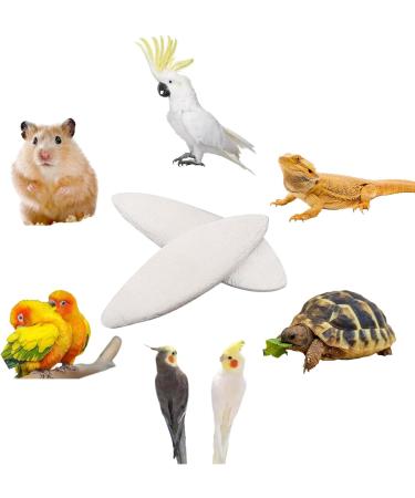 50 Pcs Bird Cuttlebone Toys 5-7cm Cuttlefish Bone Bird Cuttlebone Toys Natural Chewing Cuttlefish Bones Parrot Chew Calcium Toy for Pet Parakeets Budgies Tortoises - Buy Online on GoSupps.com