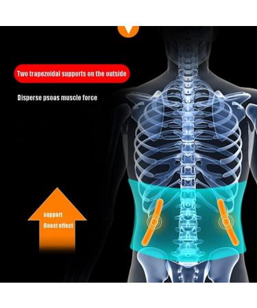 Tiiffy Lordosis Support Belt Breathable Back Pain Relief for Herniated Disc & Sciatica Self-Heating XXL for Men & Women - Buy Online on GoSupps.com
